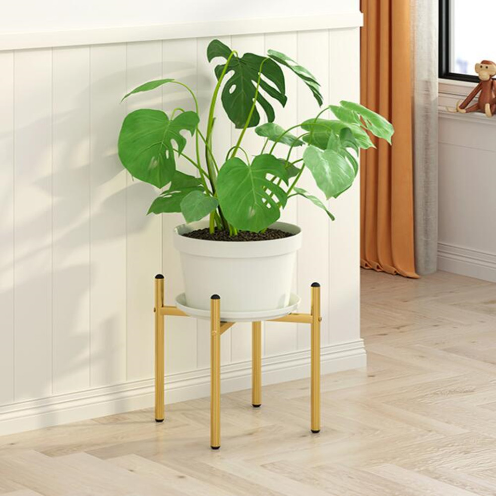 40CM Outdoor Furniture Plants  - Outdoor Furniture Iron review and price