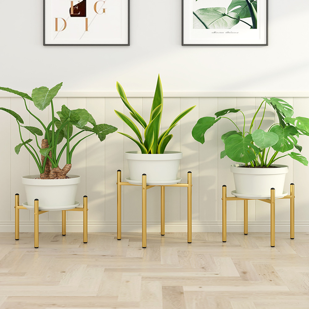40CM Outdoor Furniture Plants  - Outdoor Furniture Iron review and price