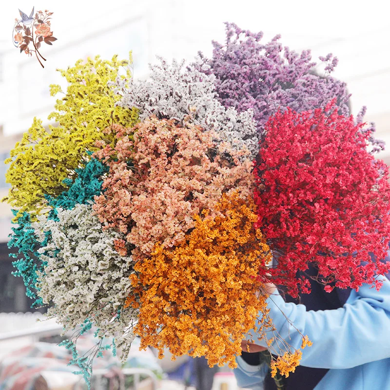 Dried Flowers Natural Crystal  - Outdoor Furniture Cafe review and price