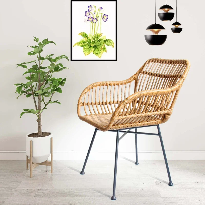 Nordic Dining Chairs for Kitch - Outdoor Furniture Iron review and price